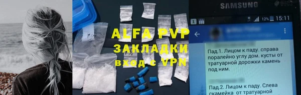 ECSTASY Богородицк