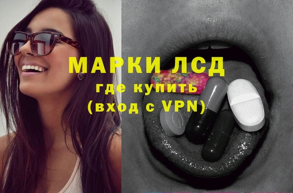 ECSTASY Богородицк