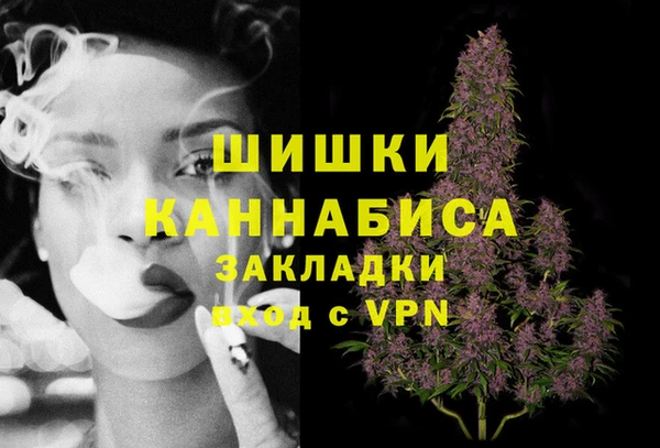 ECSTASY Богородицк