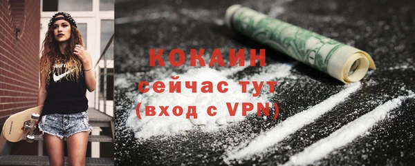 ECSTASY Богородицк