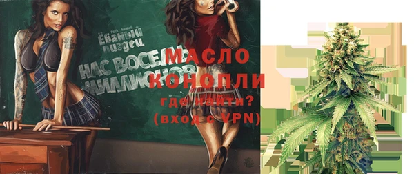 ECSTASY Богородицк