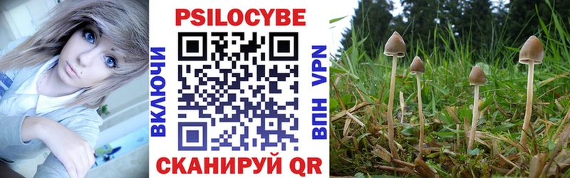 наркошоп  Торопец  Псилоцибиновые грибы Magic Shrooms 
